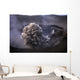 Yasur Eruption Tanna Island Wall Decal Design 2