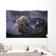Yasur Eruption Tanna Island Wall Decal Design 2