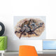 Smilodon Dirk Sabertooth Wall Decal