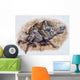 Smilodon Dirk Sabertooth Wall Decal