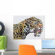 Close-up Headshot Megantereon Pliocene Wall Decal