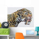 Close-up Headshot Megantereon Pliocene Wall Decal