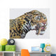 Close-up Headshot Megantereon Pliocene Wall Decal