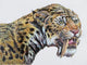 Close-up Headshot Megantereon Pliocene Wall Decal