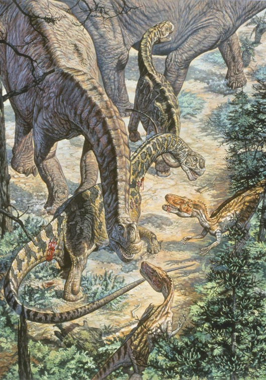 Jobaria Sauropods and Afroventor Wall Decal