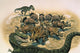 Herd Triceratops Defend Their Wall Decal