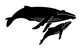 Whale and Baby Water Wall Decal