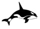 Killer Whale Wall Decal