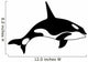 Killer Whale Wall Decal