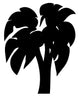 Palm Tree Wall Decal