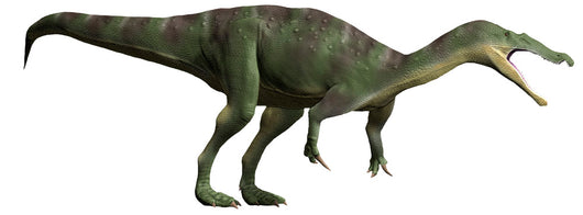 Baryonyx Walkeri Early Cretaceous Wall Decal