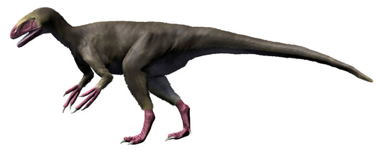 Eotyrannus Lengi Early Cretaceous Wall Decal
