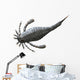 Eurypterus Tetragonophthalmus Silurian Europe Wall Decal