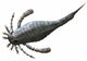 Eurypterus Tetragonophthalmus Silurian Europe Wall Decal