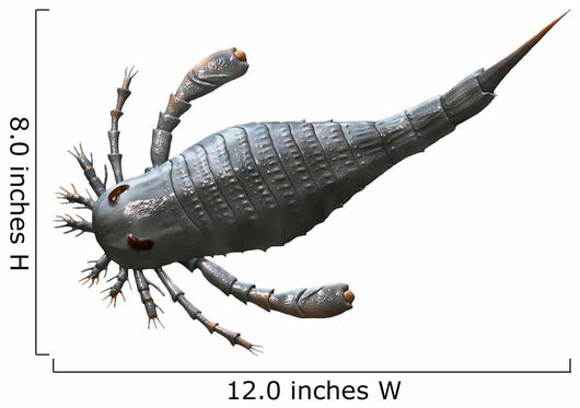 Eurypterus Tetragonophthalmus Silurian Europe Wall Decal