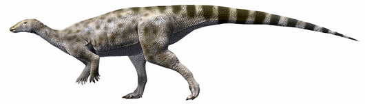 Gideonmantellia Amosanjuanae Early Cretaceous Wall Decal