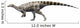 Gideonmantellia Amosanjuanae Early Cretaceous Wall Decal