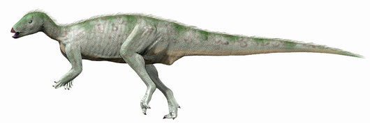 Hypsilophodon Foxii Early Cretaceous Wall Decal