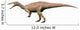 Suchomimus Tenerensis Early Cretaceous Wall Decal