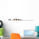 Trinisaura Santamartaensis Late Cretaceous Wall Decal