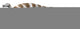 Trinisaura Santamartaensis Late Cretaceous Wall Decal