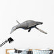 Vectocleidus Pastorum Early Cretaceous Wall Decal