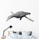 Vectocleidus Pastorum Early Cretaceous Wall Decal