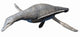 Vectocleidus Pastorum Early Cretaceous Wall Decal