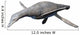 Vectocleidus Pastorum Early Cretaceous Wall Decal