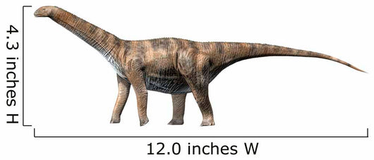 Cetiosaurus Oxoniensis Middle Jurassic Wall Decal