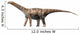Cetiosaurus Oxoniensis Middle Jurassic Wall Decal