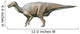 Delapparentia Turolensis Early Cretaceous Wall Decal