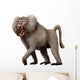 Dinopithecus Ingens Pliocene South Wall Decal