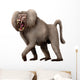Dinopithecus Ingens Pliocene South Wall Decal