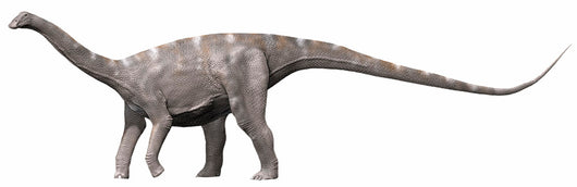 Nigersaurus Taqueti Early Cretaceous Wall Decal