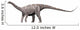 Nigersaurus Taqueti Early Cretaceous Wall Decal