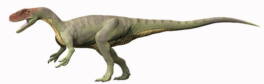 Afrovenator Abakensis Middle Jurassic Wall Decal
