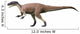 Megalosaurus Bucklandii Middle Jurassic Wall Decal
