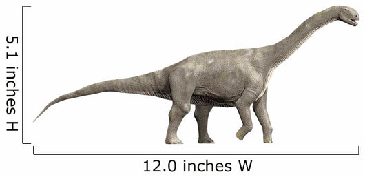 Jobaria Tiguidensis Middle Jurassic Wall Decal