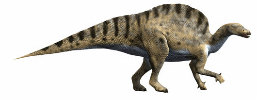 Ouranosaurus Nigeriensis Early Cretaceous Wall Decal