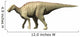 Pararhabdodon Isonensis Late Cretaceous Wall Decal