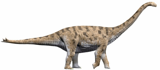 Spinophorosaurus Nigerensis Middle Jurassic Wall Decal