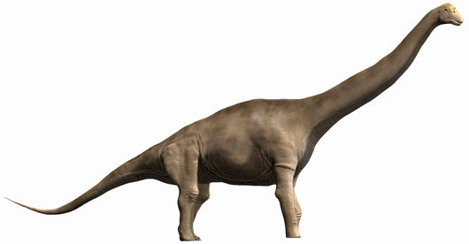 Tastavinsaurus Sanzi Early Cretaceous Wall Decal