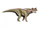 Achelousaurus Dinosaur Wall Decal
