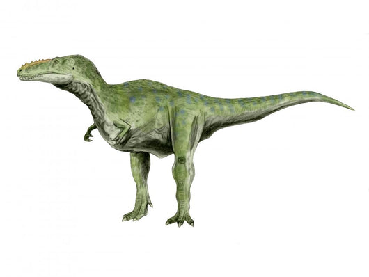 Alioramus Dinosaur Wall Decal
