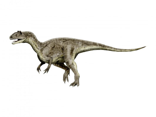 Allosaurus Dinosaur Wall Decal
