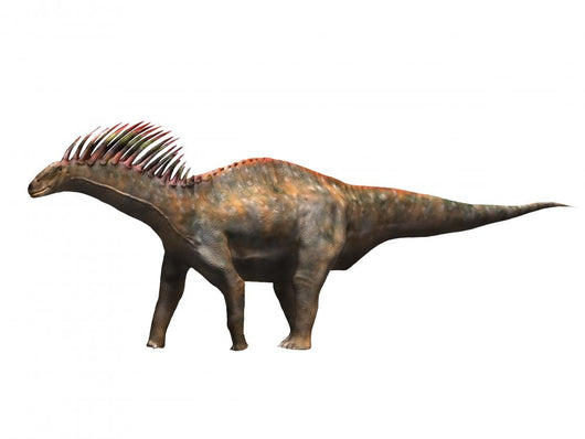 Amargasaurus Dinosaur Wall Decal