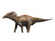 Amargasaurus Dinosaur Wall Decal