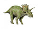 Anchiceratops Dinosaur Wall Decal