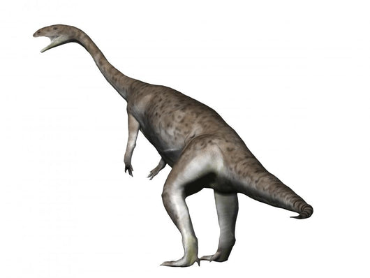 Anchisaurus Dinosaur Wall Decal